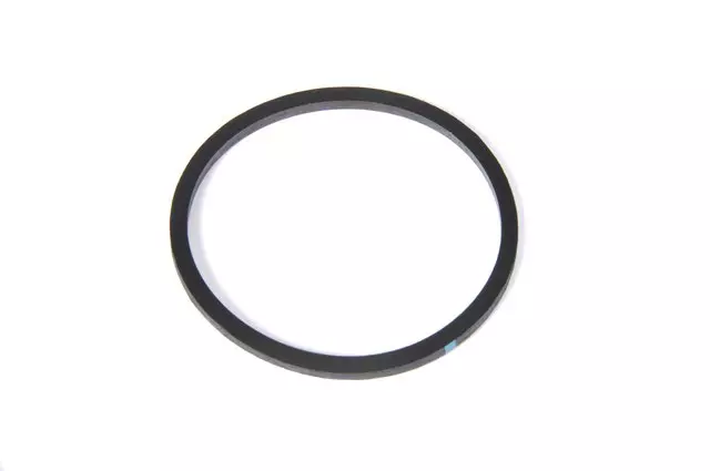19316601 - Body: Master Cylinder Seal for GM Image