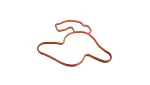 4792922AA - : Water Pump Gasket for Mopar Image