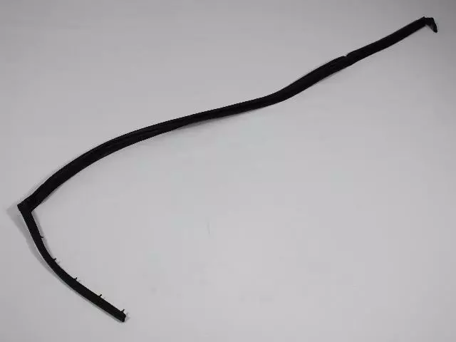 55396716AG - Body Sheet Metal Except Doors: Body Side Seal, Right for Mopar Image