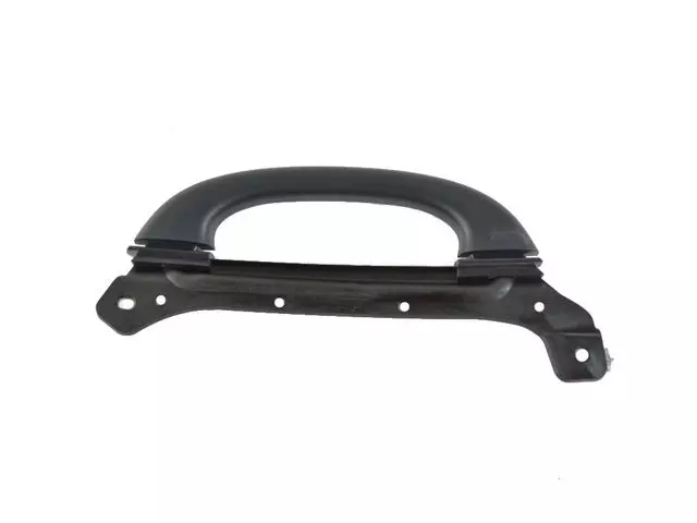 Grab Handle, Left - Mopar (6EM33LC5AA)