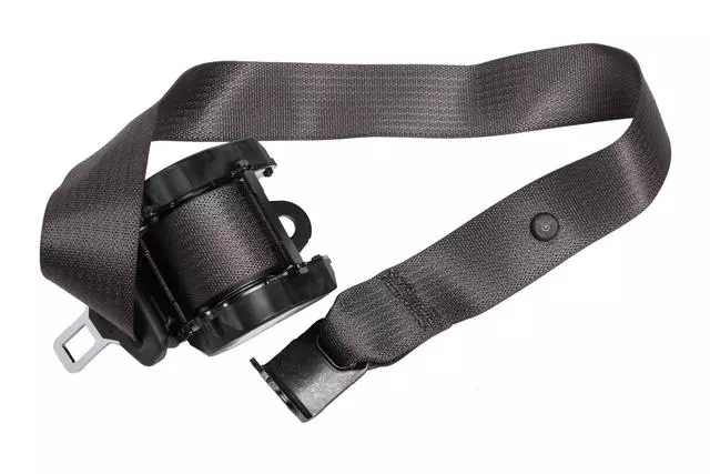 19355556 - Electrical: Outer Belt Assembly for Buick: Enclave | GMC: Acadia Image