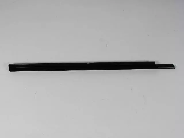Belt Weather-Strip - Mopar (55399291AF)