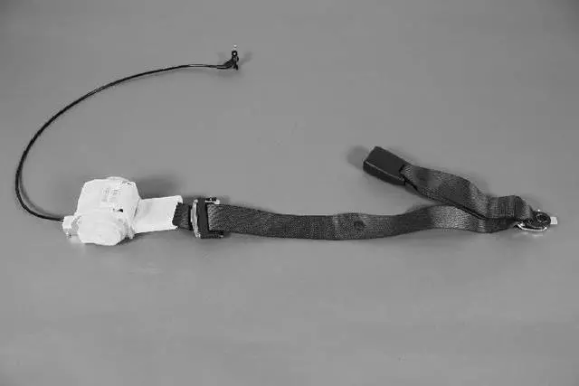 1BY48BD1AB - Electrical: Center Belt Assembly for Dodge: Magnum Image