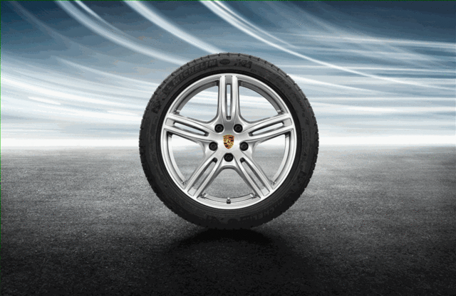 971044600B - : 20-Inch Panamera Turbo Winter Wheel-And-Tire for Porsche Image