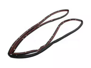 BM5Z5820709B - Body: Door Weather-Strip for Ford Image