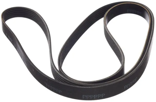 117201CA1C - : Serpentine Belt for INFINITI: FX50, M56, Q70, Q70L, QX70 Image
