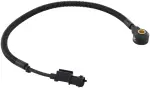 AS10328 - Emission Control: Ignition Knock (Detonation) Sensor for DELPHI Image