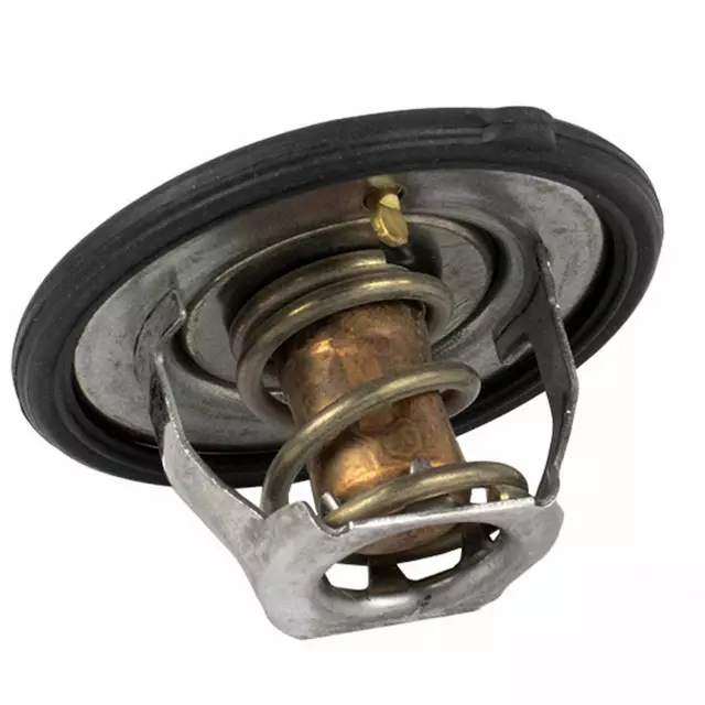 Thermostat Assembly - Ford (QRT-5)