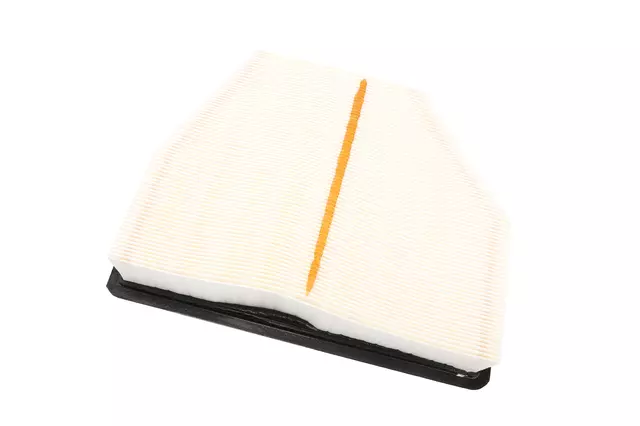 Air Filter - GM (19254733)