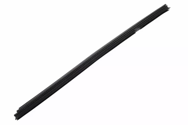 10372821 - Body: Seal Strip for Buick: Enclave Image