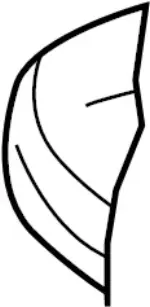 88355EG67A - Body: Pad for Infiniti Image