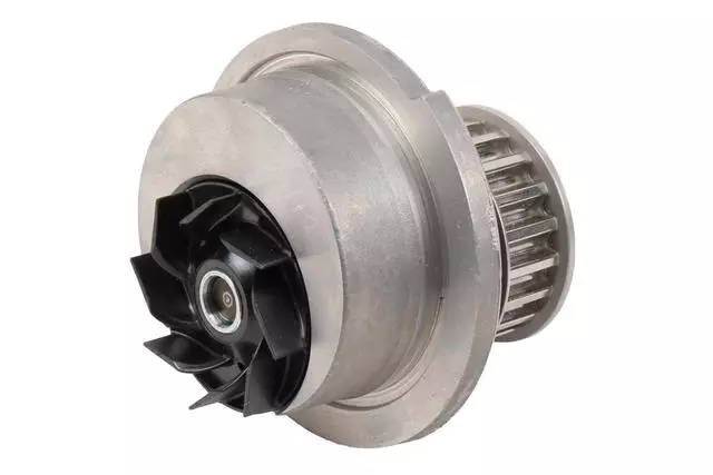 F (S)Pump - GM (24580654)
