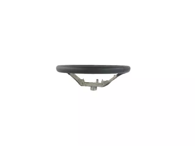 Steering Wheel - Mopar (1TT66MT2AE)