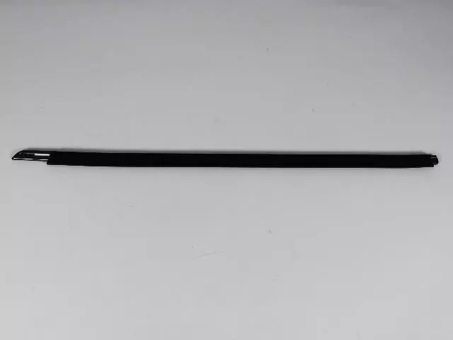 55399122AG - Doors, Door Mirrors and Related Parts: Front Door Belt Outer Weatherstrip, Right for Dodge: Challenger Image