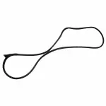 4C2Z1520531AA - Body: Door Weather-strip for Ford: E-150, E-150 Club Wagon, E-250, E-350 Club Wagon, E-350 Super Duty, E-450 Super Duty Image