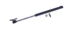 613155 - : Liftgate Lift Support for Tuff Support Image