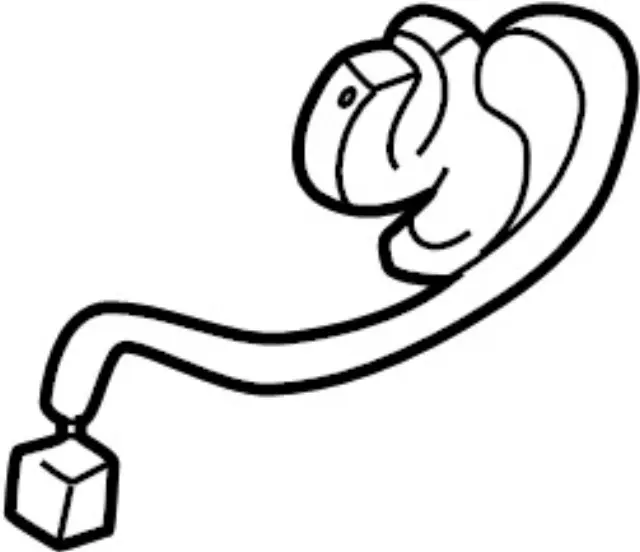 906050W001 - Body: Lock Switch for INFINITI: QX4 Image