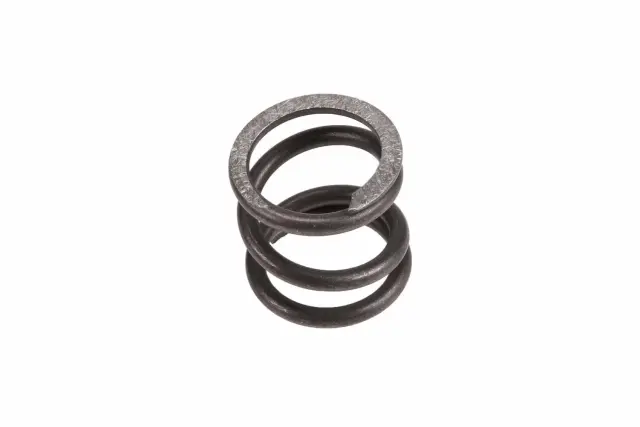 26055299 - Steering: Housing Spring for GM Image