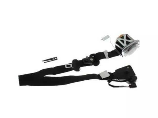 Lap & Shoulder Belt - Ford (DR3Z-76611B08-AB)