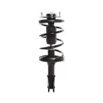 818575 - : PRT 818575 Suspension Strut and Coil Spring Assembly for PRT PERFORMANCE RIDE Image