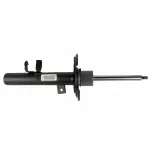 AST24656 - : Motorcraft™ Strut for Ford: Escape Image
