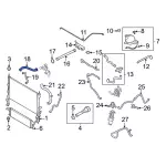 LK4Z8260E - : Radiator Coolant Hose for Ford: Transit-150, Transit-250, Transit-350, Transit-350 HD Image