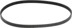 119508J100 - : Power Steering Belt for Nissan Image