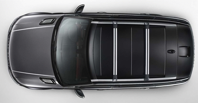 VPLWR0109 - Serviceable Components: Roof Rail Ditch Finishers - Silver for Land-Rover Image