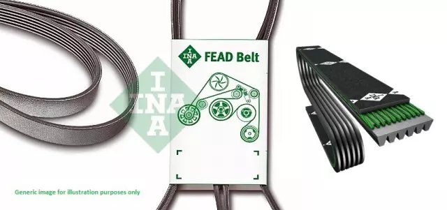 FB5K395 - Engines &amp; Components: INA US Serpentine Belt for INA US Image
