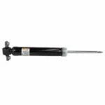 ASH86009 - : Shock Absorber Assembly for Ford Image