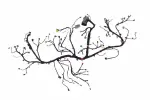 85122201 - : F Harness for GM Image