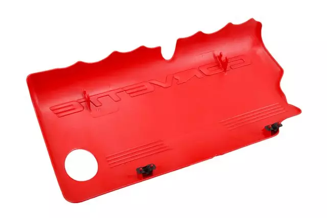 19432713 - : Passenger Side Fuel Injection Fuel Rail Cover for GM Image