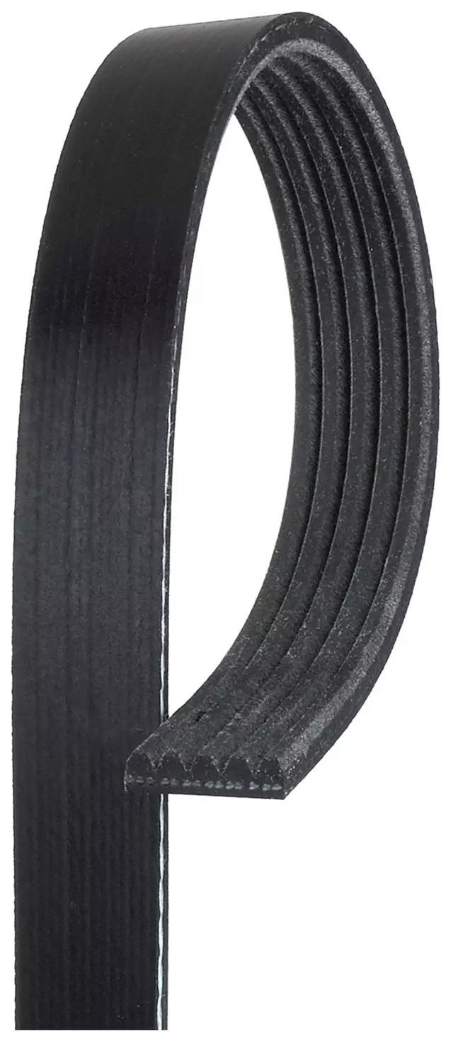 5K420 - Belts and Cooling: Standard V-Ribbed Serpentine Belt for Chevrolet: Camaro, Nova | Ford: Escort, EXP, Probe, Taurus | Honda: Prelude | Mazda: 626, MX-6 | Mercury: Lynx, Sable | Mitsubishi: Mirage | Pontiac: Firebird | Toyota: Corolla Image