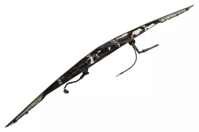 Galvano Silver Rear Closure Center Applique with License Plate Lamp - GM (84393077)