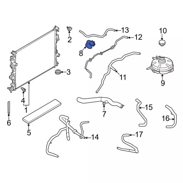 LX6Z8286AG - : Lower Hose for Ford: Escape, Maverick | Lincoln: Corsair Image