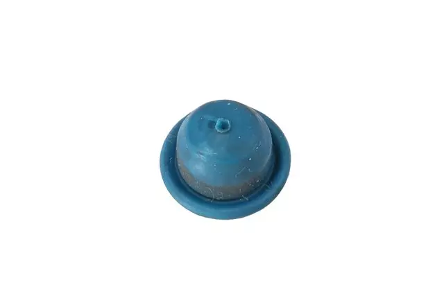 Rear Brake Bleeder Bolt Cover - GM (18004876)