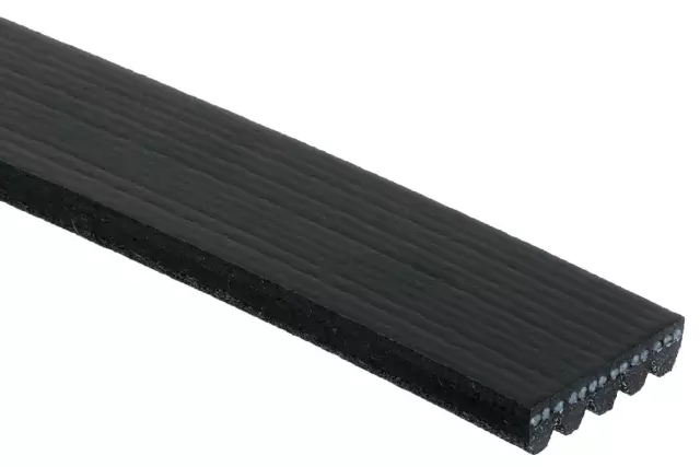 V-Ribbed Serpentine Belt - GM (12639468)