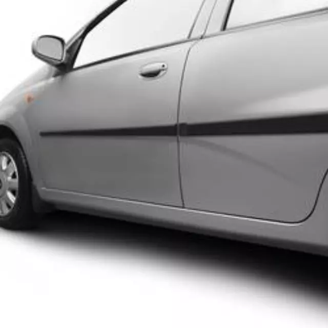Exterior Trim, Bodyside Molding - GM (93744252)