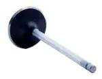 V4362 - : Engine Intake Valve for Enginetech Image
