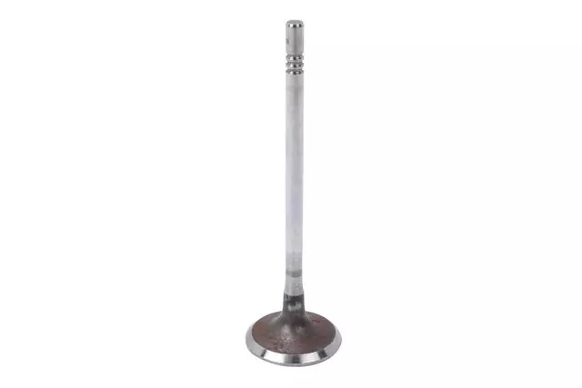 55490237 - Engine: Intake Valve for Cadillac: Escalade, Escalade ESV | Chevrolet: Silverado 1500, Silverado 1500 LTD, Suburban, Tahoe | GMC: Sierra 1500, Sierra 1500 Limited, Yukon, Yukon XL Image