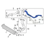 L1MZ6F072B - : 2020-2023 Ford - Inter-Cooler Hose for Ford: Explorer, Police Interceptor Utility | Lincoln: Aviator Image