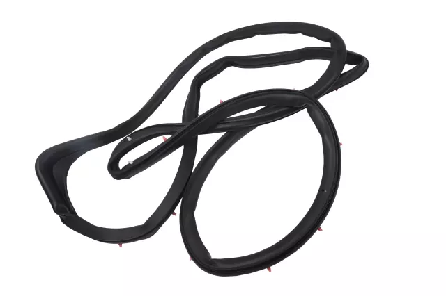 25721147 - Body: Surround Weather-strip for GM Image