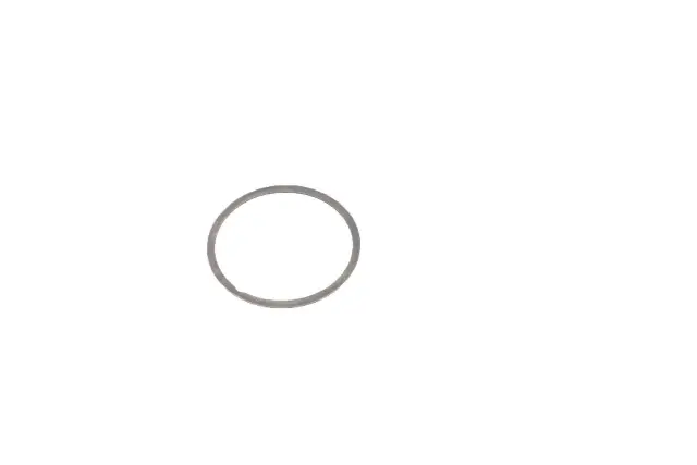25189332 - : Front Differential Bearing Shim for ACDelco Image