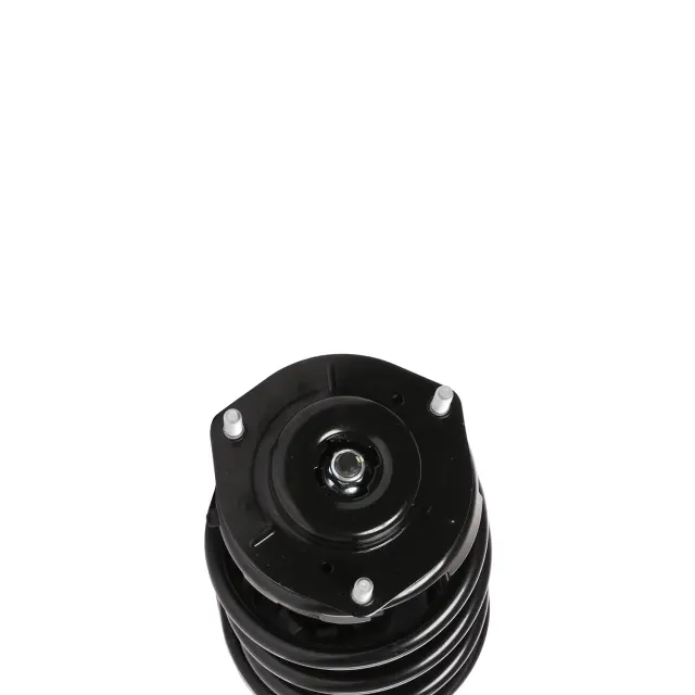 810416 - Suspension &amp; Steering: PRT 810416 Suspension Strut and Coil Spring Assembly for PRT PERFORMANCE RIDE Image