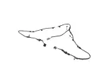 68397120AD - : Jumper Wiring for Mopar Image