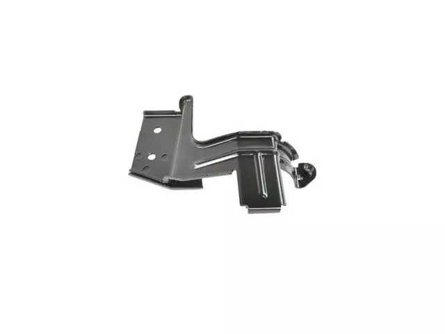 Fuel Filter Bracket - Mopar (52029520AC)