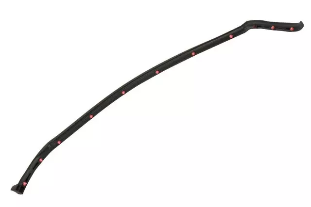 20944485 - Body: Rear Weather-strip for GM Image