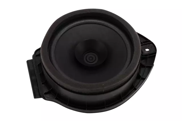 Radio Rear Side Door Speaker - GM (84542410)