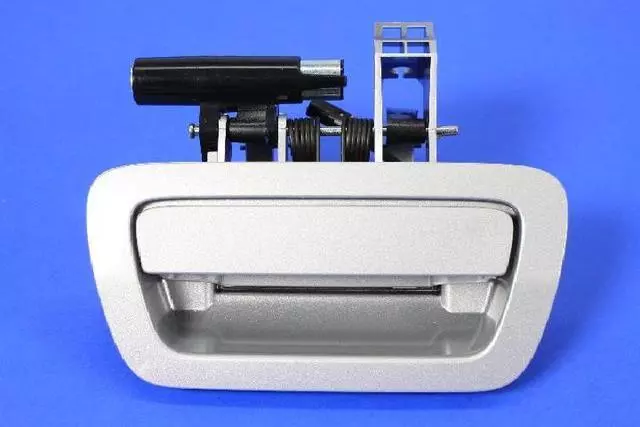 Lift-Gate Handle - Mopar (1NC38TZZAE)