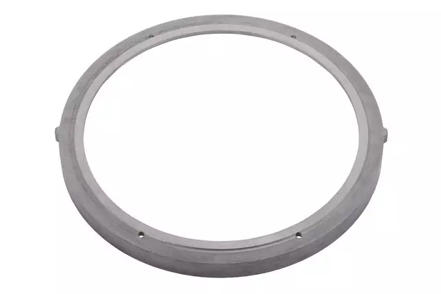 24053210 - : F (S)Ring for GM Image